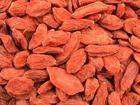 Qaidam (Tibetan Goji /Himalayan Goji) Goji Berry