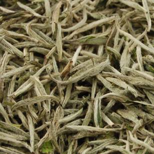 Bai Hao Yin Zhen (Silver Needle)