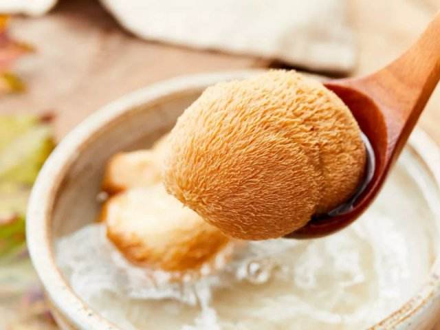 Lion's Mane Bearded Tooth Mushrooms