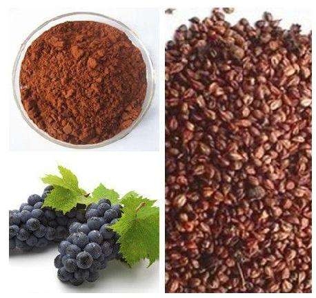 Crushed Raw Grape Seeds Powder