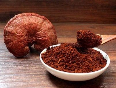 Lingzhi Reishi Mushroom Extract * Ganoderma Lucidum